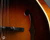 Summit Mandolins - 2003 F-100-S - Serial 264 - Top Wear
