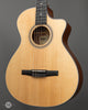 Taylor Acoustic Guitars - 312ce-N - Front Angle