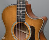 Taylor Acoustic Guitars - 512ce - 12-Fret V-Class - Urban Ironbark - Frets