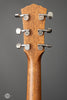 Taylor Acoustic Guitars - Gold Label 517e SB - Firestripe Pickguard - Tuners