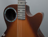 Rainsong Acoustic Guitars - WS Concert 12-fret - CO-WS1005NST - Tobacco Burst - Used