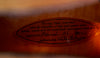 Gibson Guitars - 2001 L4Ces Historic - Hutchins - Used