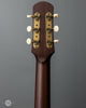 Iris Guitars - DF Natural - Large Pickguard - Ivoroid Binding - Flower Pot - Back Headstock