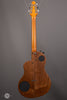 Rick Turner RS-6 Renaissance Steel USED - Back