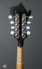 Triggs Mandolins - 2006 F5 - Sunburst - Tuners