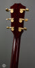 Taylor Guitars - 2013 T5C3 Cocobolo - Used - Tuners