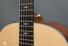 Taylor Acoustic Guitars - 317e Grand Pacific - Frets