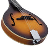 Recording King - RAM-3-TS Mando
