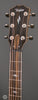 Taylor Acoustic Guitars - 814ce V-Class - Headstock