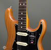 Fender Electric Guitars - American Professional II Stratocaster - RW Roasted Pine - Frets
