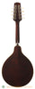 Mike Black A2 Mandolin with Virzi - back