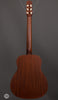 Iris Guitars - DE-11 - Dan Erlewine Model - Back