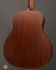 Iris Guitars - DE-11 - Dan Erlewine Model - Tuners