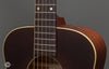 Iris Guitars - DE-11 - Dan Erlewine Model - Frets