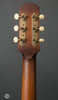 Iris Guitars - DF Smeck - Burst - Ivoroid Binding - Tuners
