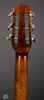 Eastman Acoustic Guitars - DM1-CLA - Tuners