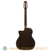 Dell'Arte 2003 Dark Eyes Gypsy Jazz Guitar - back