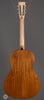 Eastman Acoustic Guitars - E1OO-LTD - Back