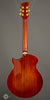Eastman Electric Guitars - ER4 Archtop - Used - Back