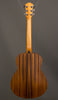 Taylor Acoustic Guitars - GS Mini-e RW