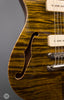 Don Grosh Electric Guitars - 2004 Hollow T Custom - Tiger Eye - F-Hole