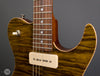 Don Grosh Electric Guitars - 2004 Hollow T Custom - Tiger Eye - Pickups