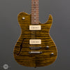 Don Grosh Electric Guitars - 2004 Hollow T Custom - Tiger Eye - Front Close