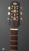 Iris Guitars - DF Natural - Ivoroid Binding - Headstock