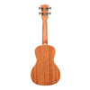 Kala Ukuleles - KA-CG Gloss Concert Uke