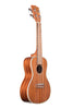 Kala Ukuleles - KA-CG Gloss Concert Uke