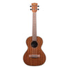 Kala Ukuleles - KA-TG Gloss - Tenor Uke