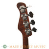 Lower Groove Tyranis Fretless Bass - tuners