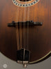 Eastman Mandolins - MD314-CLA with K&K Pickup - Tailpiece