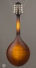 Collings Mandolins - MT GT Black Top - Back