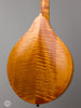 Collings Mandolins - MT GT - Honey Amber - Angle Back