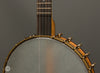 ODE Banjos - Magician 12" Open Back Banjo - Scoop