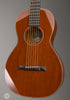 Collings Acoustic Guitars - Parlor 1 Mh Traditional T Series - Angle
