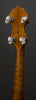 Vega Banjos - Tubaphone Tenor - Style M