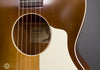 Waterloo by Collings - WL-14 X Truss Rod - Boot Burst - Pickguard