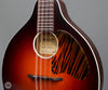 Waterloo by Collings - WL-M Mandolin - Pickguard