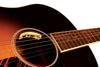 L.R. Baggs Acoustic Pickups - Anthem