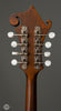 Eastman Mandolins - MD314-CLA - Tuners