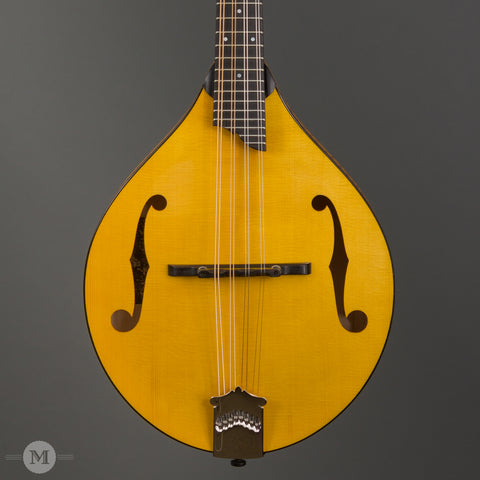 Collings Mandolins - MT GT Honey Amber