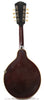 1913 Gibson A4 Mando black - back