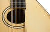 Gibson Mandolins - 1919 A3 - White