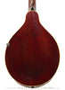 Gibson Mandolins - 1919 A3 - White