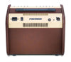 Fishman Loudbox Mini Acoustic Amp - back