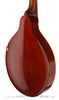 Gibson Mandolins - 1917 A1