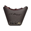 L.R. Baggs Pickups - Session VTC