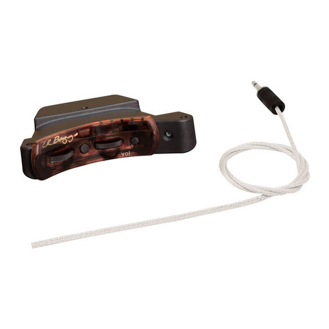 L.R. Baggs Pickups - Session VTC